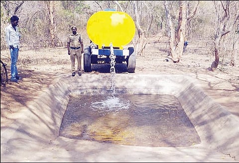 கோடை காலத்தை முன்னிட்டு காப்புக்காடுகளில் உள்ள தொட்டிகளில் டிராக்டர் மூலம் தண்ணீர் நிரப்பும் பணி வனத்துறை ஏற்பாடு