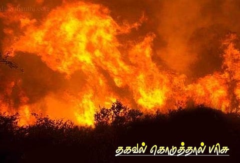 கூடலூரில் வனப்பகுதியில் தீ வைப்பவர்கள் குறித்து தகவல் கொடுத்தால் பரிசு