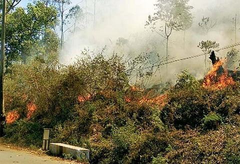 ஏற்காடு மலைப்பாதையில் மீண்டும் தீ