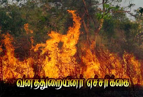வனப்பகுதியில் தீ வைத்தால் கடும் நடவடிக்கை - வனத்துறையினர் எச்சரிக்கை