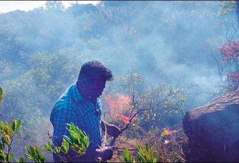 ஆரல்வாய்மொழி அருகே மலையில் பயங்கர தீ - ஏராளமான மரங்கள் எரிந்து நாசம்
