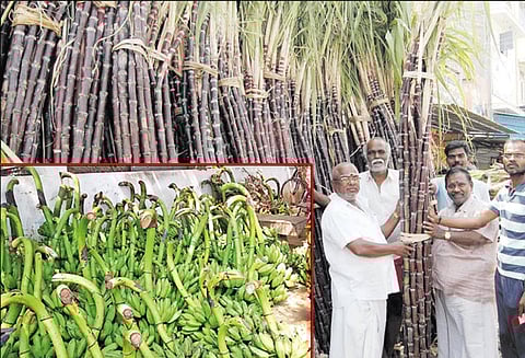 பொங்கல் பண்டிகையை முன்னிட்டு கரும்பு, மஞ்சள் குலை விற்பனை மும்முரம்