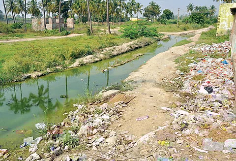 கிருஷ்ணகிரியில் குவிந்து கிடக்கும் பிளாஸ்டிக் குப்பைகள்