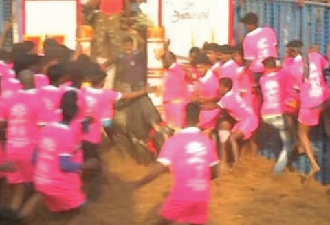 மதுரை மாவட்டம் அவனியாபுர ஜல்லிக்கட்டு 14 பேர் காயம்