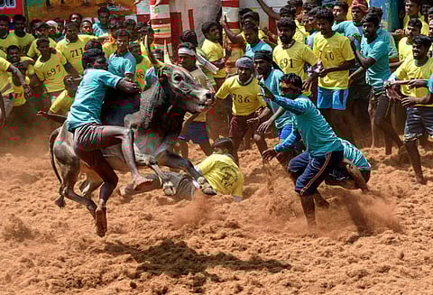 மதுரை அலங்காநல்லூர் ஜல்லிக்கட்டு போட்டி நிறைவடைந்தது