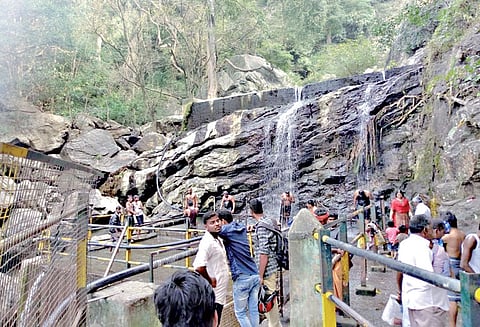 சுருளி அருவியில் நீர்வரத்து குறைந்தது சுற்றுலா பயணிகள் ஏமாற்றம்