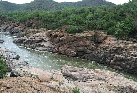 மேகதாது அணை விவகாரம்; வரைவு திட்ட அறிக்கையை சமர்ப்பித்தது கர்நாடக அரசு