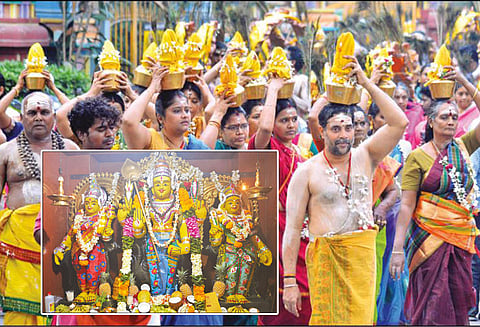 நீண்ட வரிசையில் நின்று பக்தர்கள் தரிசனம்: முருகன் கோவில்களில் தைப்பூச திருவிழா