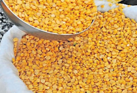 டிசம்பர் மாதத்தில், டாலர் மதிப்பில் பருப்பு இறக்குமதி 35% குறைந்தது