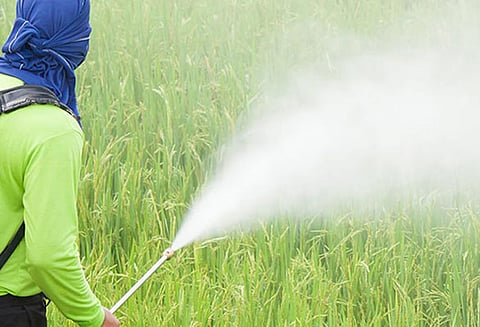 தினம் ஒரு தகவல் : பூச்சிக்கொல்லியின் விளைவுகள்