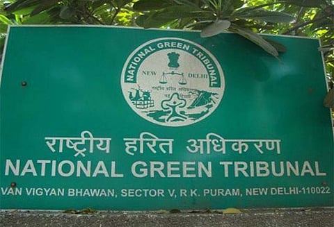 தேர்தல் பிரசாரத்தில் பிளாஸ்டிக் பொருட்கள் பயன்படுத்த தடை - மத்திய அரசுக்கு பசுமை தீர்ப்பாயம் உத்தரவு