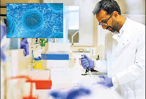 எச்.ஐ.வி. நோயாளி, ஸ்டெம்செல் மாற்று சிகிச்சையால் குணம் - இங்கிலாந்தில் இந்திய விஞ்ஞானி சாதனை