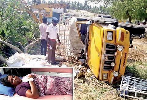 உடுமலை அருகே, மரத்தில் சரக்கு வாகனம் மோதி கவிழ்ந்தது; 12 பேர் படுகாயம்