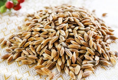 தினம் ஒரு தகவல் : கருடன் சம்பா