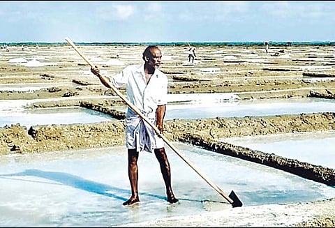 மரக்காணத்தில், வெயில் தாக்கத்தால் உப்பு உற்பத்தி அதிகரிப்பு