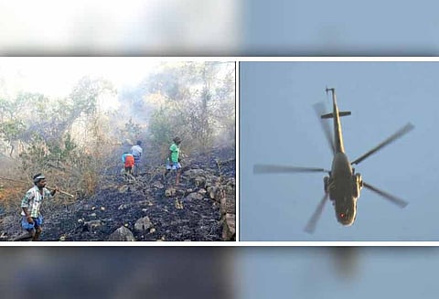 சீகூர் வனப்பகுதியில் காட்டுத்தீ வனத்துறையினர் போராடி அணைத்தனர்