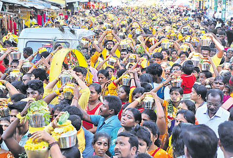 வடபழனி முருகன் கோவிலில் பங்குனி உத்திர விழா பால்குடம் ஏந்தியும், அலகு குத்தியும் பக்தர்கள் நேர்த்திக்கடன்