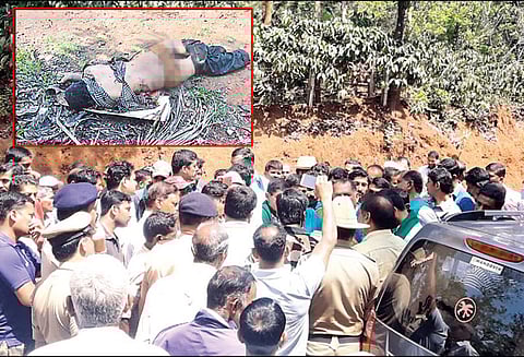 ராஜ்பேட்டை தாலுகாவில் சம்பவம் காட்டுயானை தாக்கி விவசாயி பலி கிராம மக்கள் சாலைமறியல்- பரபரப்பு