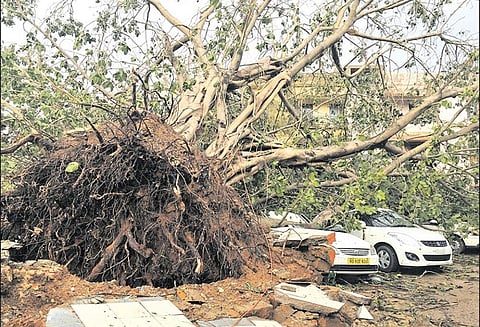 ‘பானி’ புயல் பலி எண்ணிக்கை 12 ஆக உயர்ந்தது: ஒடிசாவில் 30 லட்சம் வீடுகள் இருளில் மூழ்கின