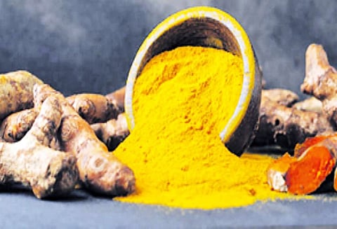 தலைவலி, முதுகுவலியை போக்கும் பொருட்கள்