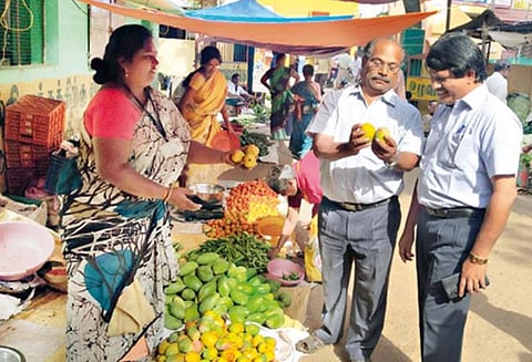 கம்பம் உழவர்சந்தையில், ரசாயன கற்களால் பழுக்க வைக்கப்பட்ட மாம்பழம் விற்றால் நடவடிக்கை - அதிகாரிகள் எச்சரிக்கை
