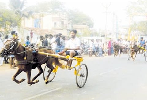 அறந்தாங்கியில் குதிரை, மாட்டு வண்டி பந்தயம்