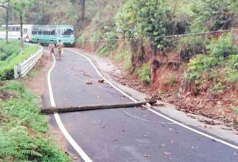 கூடலூர், பந்தலூரில் பலத்த மழை மின் வினியோகம் பாதிப்பு