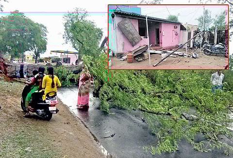 தர்மபுரி, கிருஷ்ணகிரி மாவட்டங்களில் சூறைக்காற்றுடன் மழை