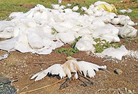 கேரளாவில் உள்ள குப்பைகளை தமிழக பகுதியில் கொட்டுவதா? நடவடிக்கை எடுக்க சமூக ஆர்வலர்கள் வலியுறுத்தல்