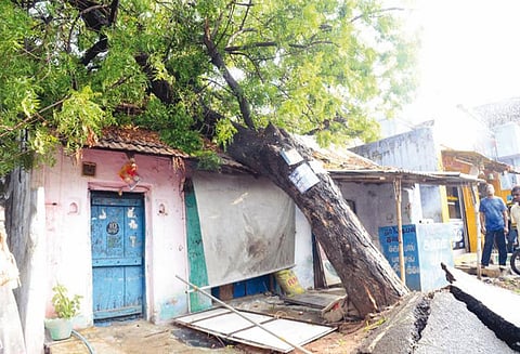 ஈரோடு மாவட்டத்தில் பலத்த சூறாவளிக்காற்றுடன் மழை; சென்னிமலையில் மின்னலை பார்த்த அதிர்ச்சியில் 3 பெண்கள் மயக்கம்