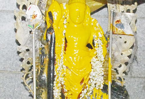 பெரம்பலூர் பாலமுருகன் கோவிலில் வைகாசி விசாக விழா