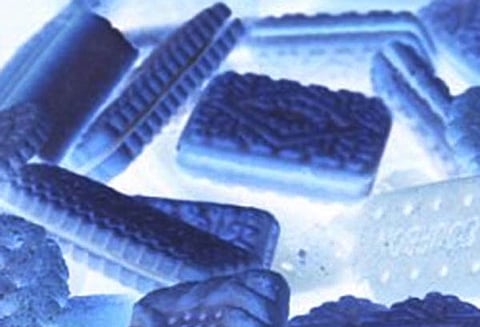 மின்சார ரெயிலில் மயக்க பிஸ்கட் கொடுத்து பயணியிடம் பணம், செல்போன் அபேஸ் 2 பேருக்கு வலைவீச்சு