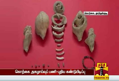 கொற்கை அகழாய்வு பணி - சங்கு வளையல்கள், மோதிரங்கள் கண்டெடுப்பு