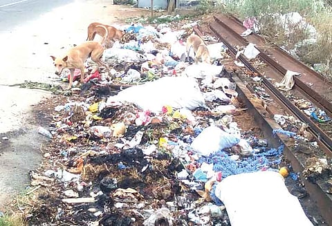 கரூர் அருகே சாலையோரம் குவிந்து கிடக்கும் குப்பைகளால் நோய் பரவும் அபாயம்