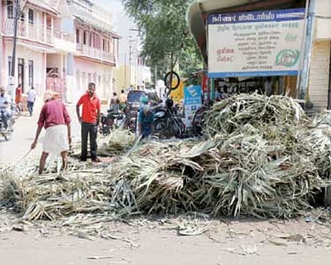 பொங்கல் பண்டிகையையொட்டி கரும்பு, பனை ஓலை, மஞ்சள் குலை விற்பனை மும்முரம்