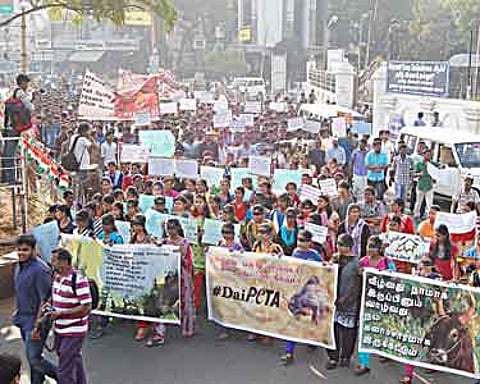 ஜல்லிக்கட்டுக்கு அனுமதி கோரி மதுரையில் 4-வது நாளாக இன்றும் மாணவர்கள் போராட்டம்