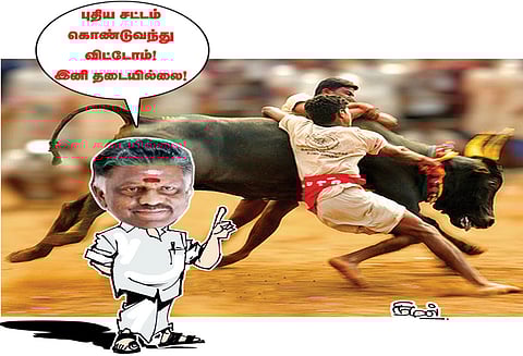 சட்டப்பாதுகாப்புடன் ஜல்லிக்கட்டு விளையாட்டு