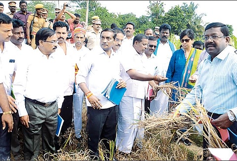 வறட்சியால் பாதிக்கப்பட்ட இடங்களில் மத்திய குழுவினர் ஆய்வு