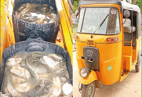 மண்டபத்தில் கடல் அட்டைகள் பறிமுதல்; ஒருவர் கைது