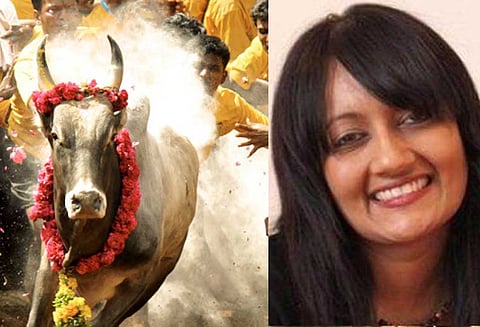 ஜல்லிக்கட்டில் நடந்த மிருகவதை பற்றி ஆதாரங்கள் திரட்டுகிறோம்-பூர்வா ஜோஷிபுரா