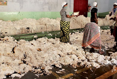 காரைக்குடி அருகே பஞ்சாலையில் தீவிபத்து; ரூ.3 லட்சம் பஞ்சுகள் சேதம்