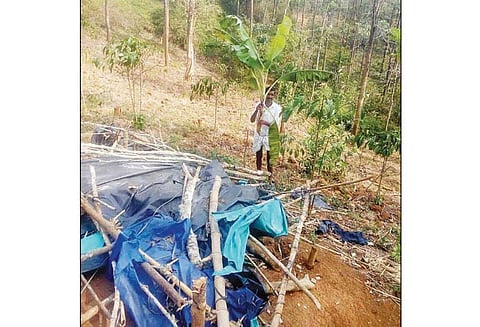 ஆக்கிரமிப்புகளை அகற்றுவதாக கூறி காபி செடிகளை வனத்துறையினர் வெட்டி சாய்த்ததாக விவசாயி புகார்