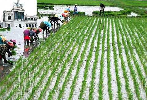 32 லட்சம் விவசாயிகளுக்குரூ.2,247 கோடி நிவாரண உதவி தமிழக அரசு அறிவிப்பு