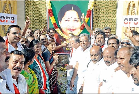 திருப்பூர், பல்லடம், அவினாசி, பொங்கலூரில் ஜெயலலிதா பிறந்தநாள் விழா