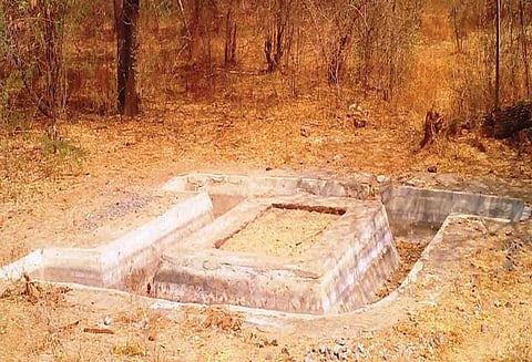 வனப்பகுதியில் கடும் வறட்சி: நீர்நிலைகளை தேடி அலையும் வனவிலங்குகள்