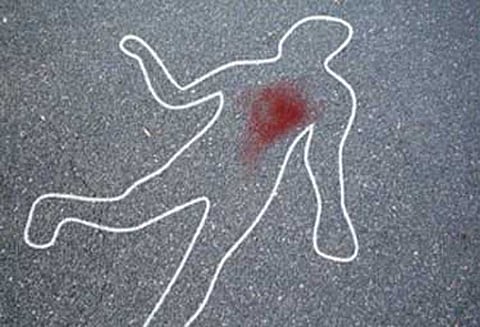 மாயமான டிரைவர், ஏரியில் பிணமாக மீட்பு அடித்துக்கொலையா? போலீசார் விசாரணை