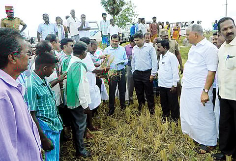 வறட்சியால் பாதிக்கப்பட்ட பகுதிகளில் மத்தியக் குழு ஆய்வு
