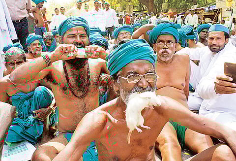 உயிருடன் எலியை வாயில் கவ்வி தமிழக விவசாயிகள் நூதன போராட்டம்