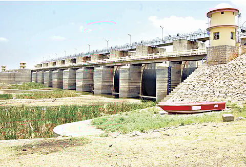 போதிய மழை இல்லாததால் வறண்டது: 44 ஆண்டுகளாக தூர்வாரப்படாத குடகனாறு அணை