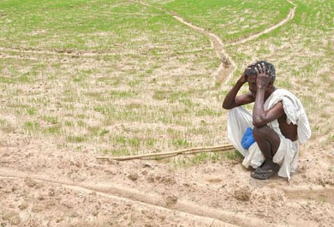விவசாயிகளிடம் பயிர்க்கடன்களை வற்புறுத்தி வாங்க வேண்டாம்: கூட்டுறவு வங்கிகளுக்கு சங்க பதிவாளர் சுற்றறிக்கை